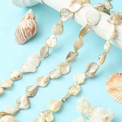 Handmade Shell Beads Strands PBB471-1-1