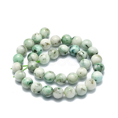 Natural Chrysocolla Beads Strands G-E576-04A-1