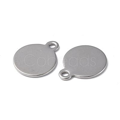 Non-Tarnish 304 Stainless Steel Charms STAS-C066-27P-1