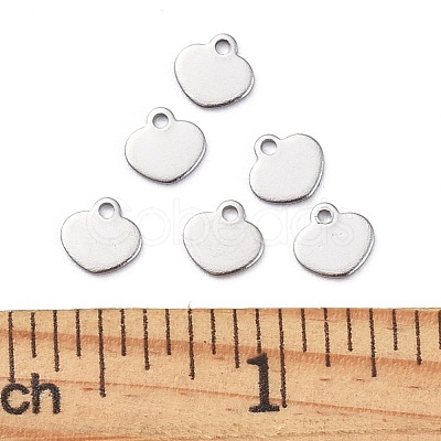 Non-Tarnish Stainless Steel Charms STAS-L236-08P-1