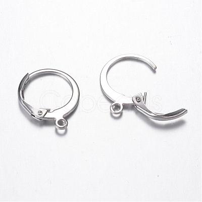 Tarnish Resistant 304 Stainless Steel Leverback Earring Findings STAS-G059-19-1