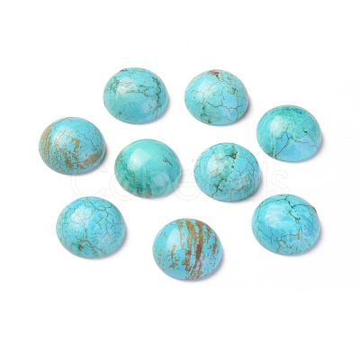 Natural Howlite Cabochons TURQ-L031-033B-01-1