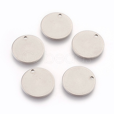 Tarnish Resistant Stainless Steel Charms STAS-O109-01P-1