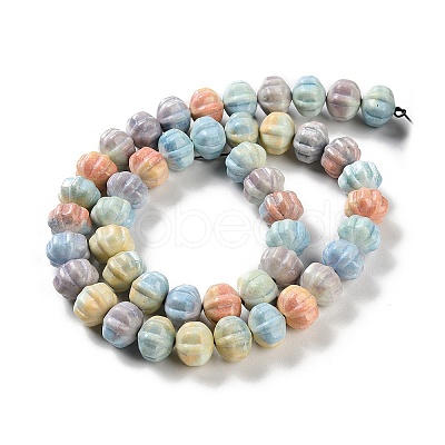 Natural Rainbow Alashan Agate Beads Strands G-NH0022-H01-01-1