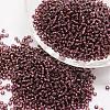 6/0 Transparent Glass Round Seed Beads X-SEED-J010-F6-57-1