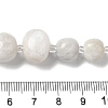 Natural White Moonstone Beads Strands G-Q169-E08-01-5