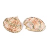 Natural Scallop Shell Pendants SSHEL-N038-15-2