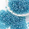 8/0 Glass Seed Beads X-SEED-J012-F8-119-1