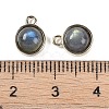 Natural Labradorite Pendants G-K372-03G-08-3