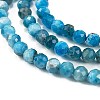 Natural Apatite Beads Strands G-C127-A01-01-3