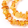 Natural Amber Beads Strands G-T138-235A-3