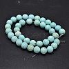 Natural Howlite Beads Strands TURQ-P027-17-10mm-2