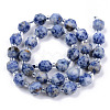 Natural Blue Spot Jasper Beads Strands G-R482-07-10mm-2