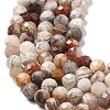 Natural Mexican Agate Bead Strands G-E608-A11-C-3