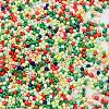 Baking Paint Glass Seed Beads X-SEED-S042-05B-51-3