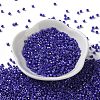 Baking Paint Glass Seed Beads X-SEED-S042-15A-21-2
