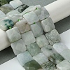 Natural Myanmar Jadeite Beads Strands G-A092-C01-03-2