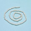 Natural Cultured Freshwater Pearl Beads Strands PEAR-F018-04D-01-3