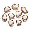 Natural Trochid Shell/Trochus Shell Beads RB-S056-18-1