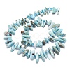 Natural Larimar Beads Strands G-G106-J04-01-2