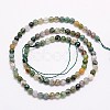 Natural Indian Agate Beads Strands G-G545-04C-2