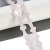 Natural Rose Quartz Beads Strands G-I369-A13-01-2