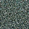MIYUKI Delica Beads SEED-X0054-DB2379-3