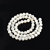 Natural White Shell Bead Strands SSHEL-N003-144E-01-2