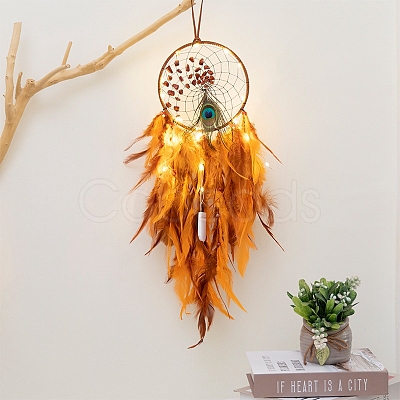 Woven Web/Net with Feather Wall Hanging Decorations PW-WG69688-02-1