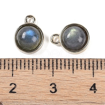 Natural Labradorite Pendants G-K372-03G-08-1