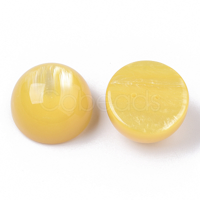 Resin Beads RESI-N022-02D-1