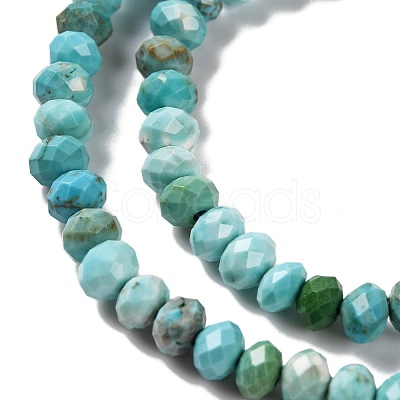 Natural Howlite Beads Strands G-H025-03C-01-1