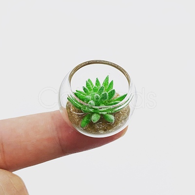 Resin Succulents Pot Model WG98425-03-1