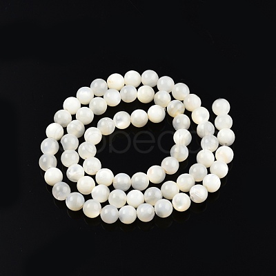 Natural White Shell Bead Strands SSHEL-N003-144E-01-1