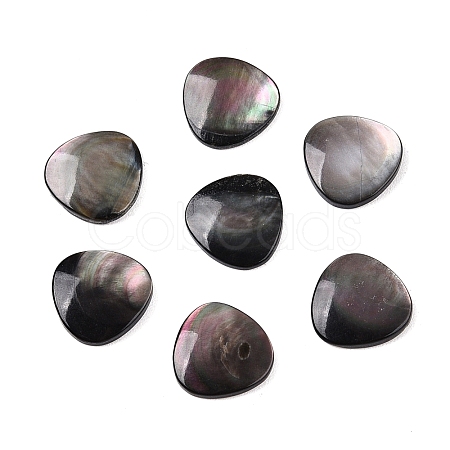 Natural Black Lip Shell Cabochons SSHEL-T017-09-1