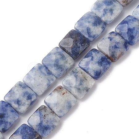 Natural Blue Spot Jasper Beads Strands G-K359-B19-01-1