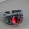 Dragon Eye Men's Fashion Ring Zinc Alloy Hip-hop Ring, Red, Antique Silver, show in picture