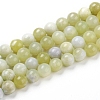 Natural Green Jade Beads Strands G-G844-01-8mm-1