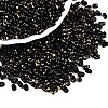 Picasso Spray Painted Glass Seed Beads SEED-T006-04-40-3