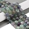 Natural Fluorite Beads Strands G-P530-B04-05-2
