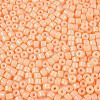 Opaque Baking Paint Glass Seed Beads SEED-T008-02D-3