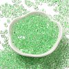 Glass Seed Beads SEED-K009-08A-11-2