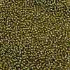 TOHO Round Seed Beads X-SEED-TR11-0246-2