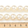Glass Pearl Beads Strands HY-G002-01F-02-5