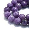 Natural Lepidolite/Purple Mica Stone Beads Strands G-P457-C03-09-2