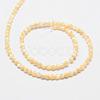Natural Sea Shell Round Bead Strands SSHEL-M013-4mm-02-2