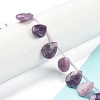 Natural Lepidolite/Purple Mica Stone Beads Strands G-B016-06-4
