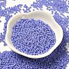 Baking Paint Glass Seed Beads SEED-P006-03A-34-2