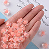 Transparent Acrylic Beads TACR-S152-02A-SS2109-5