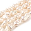 Natural Cultured Freshwater Pearl Beads Strands PEAR-E016-014-1